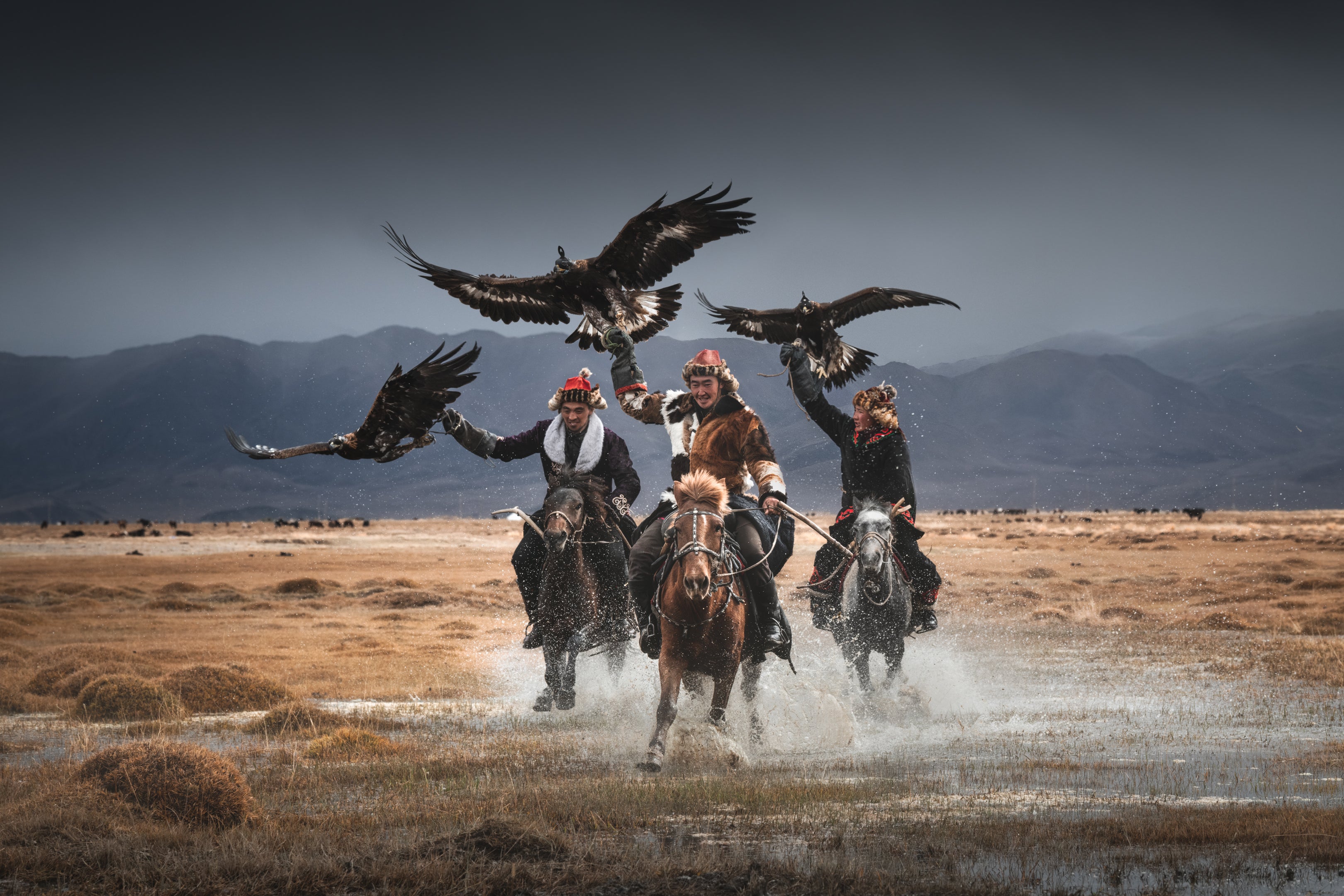 Eagle Hunters featured opacity image