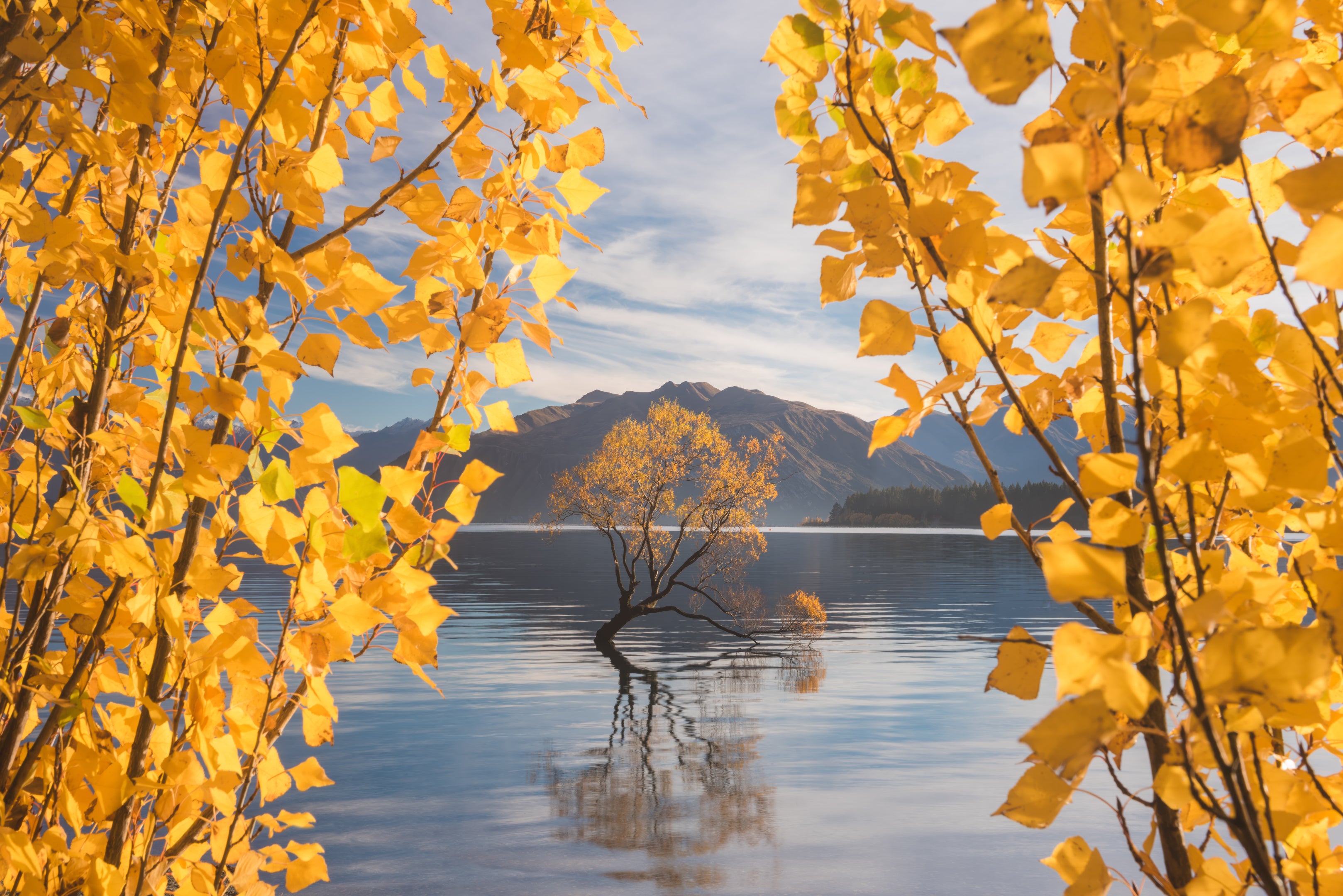 Autumn Theater featured opacity image
