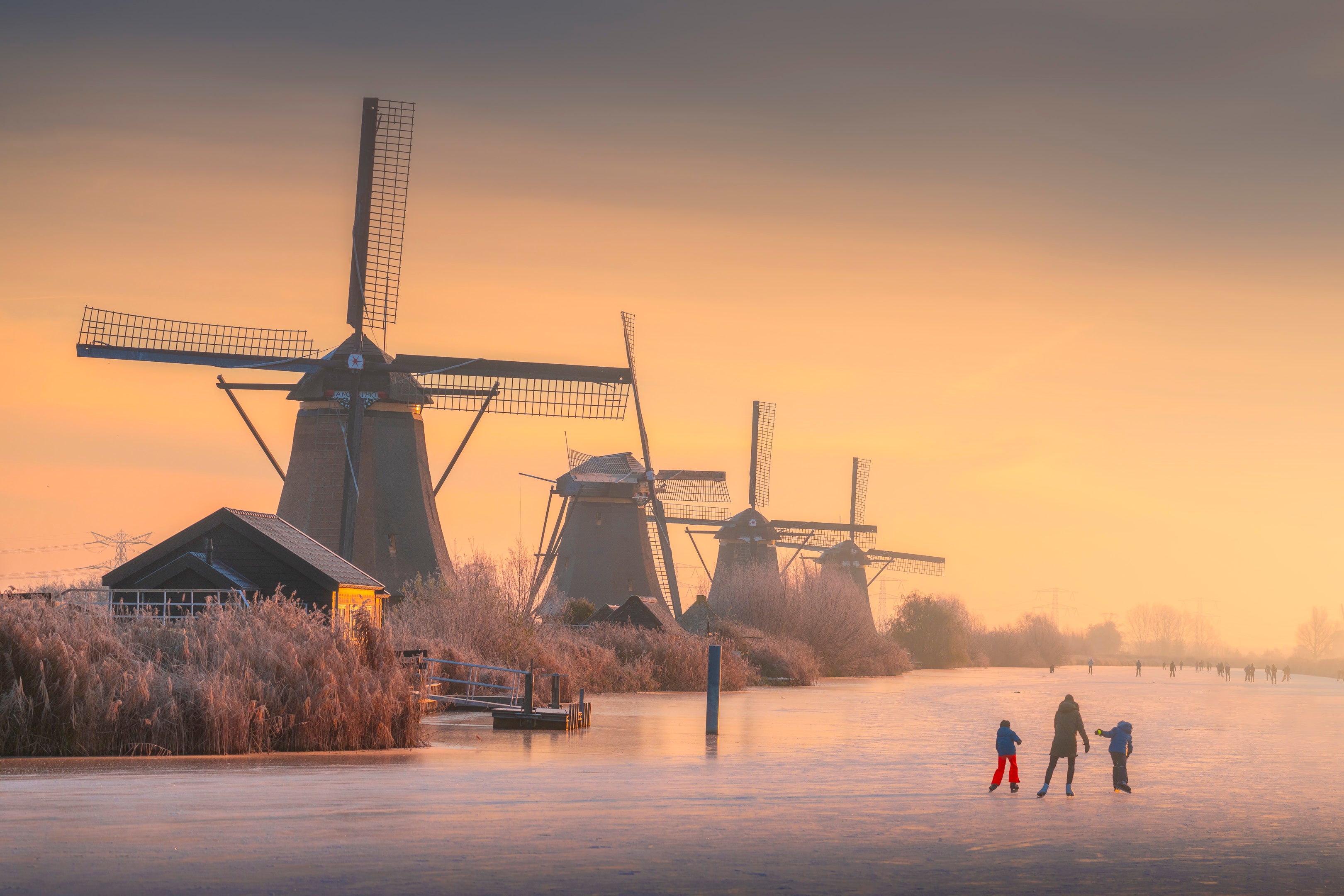 Romance on Ice featured opacity image