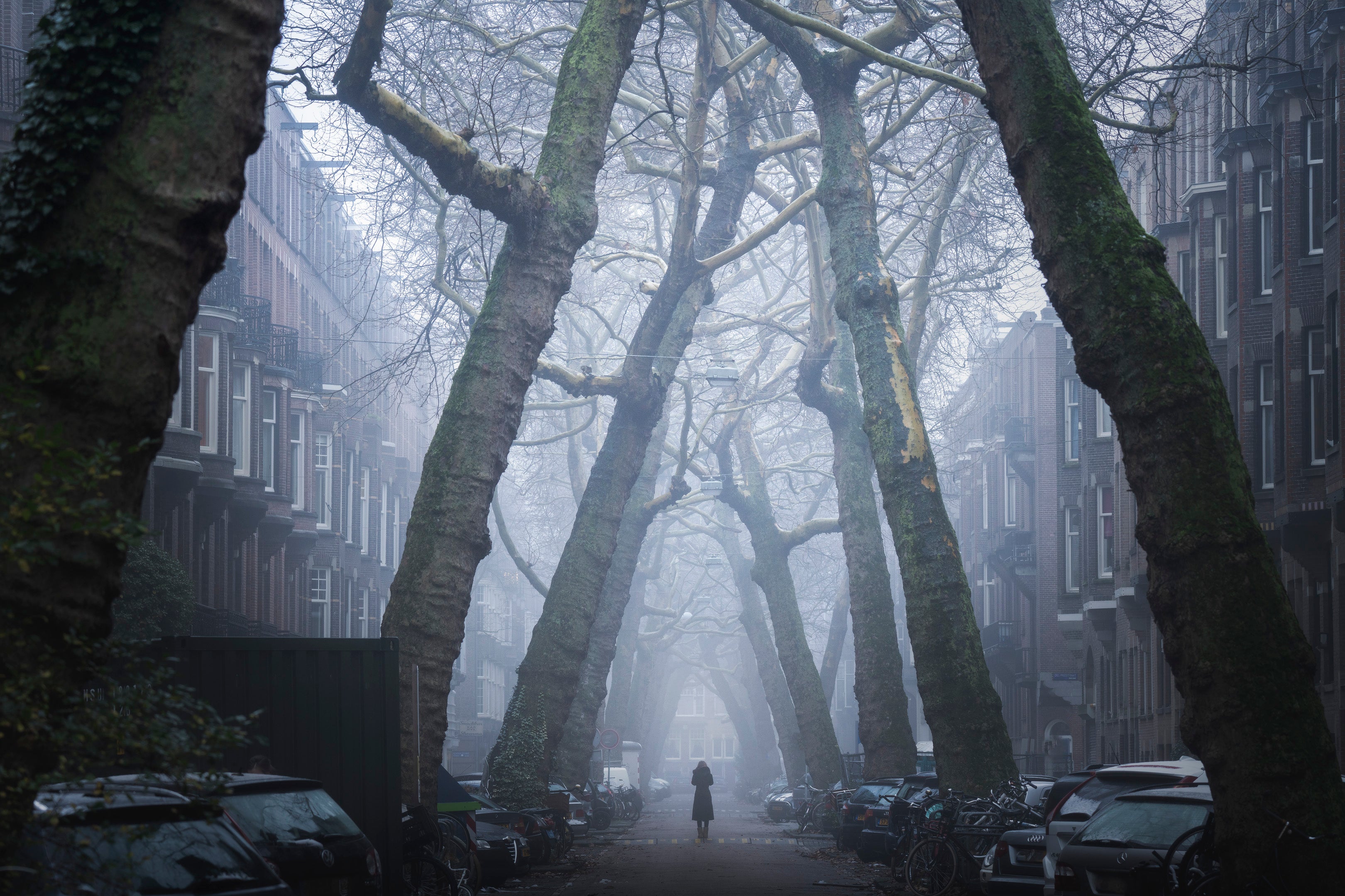 Stranger Things featured opacity image