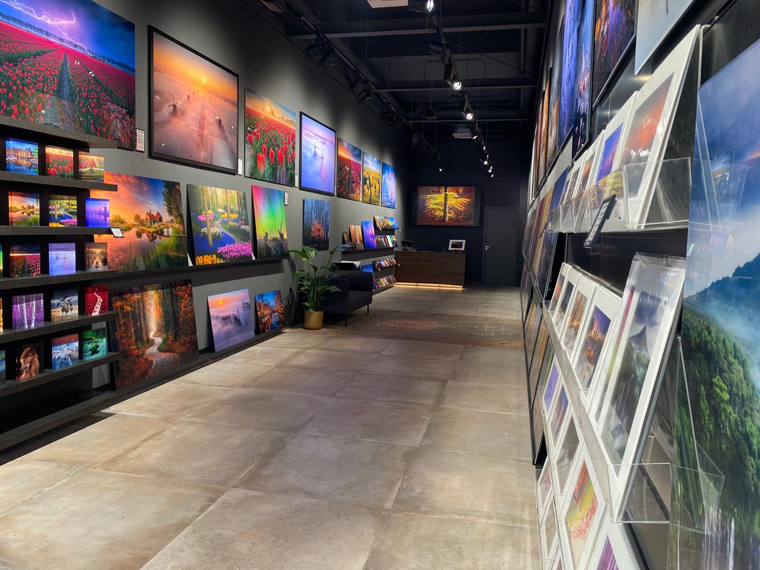 Gallery Concept image