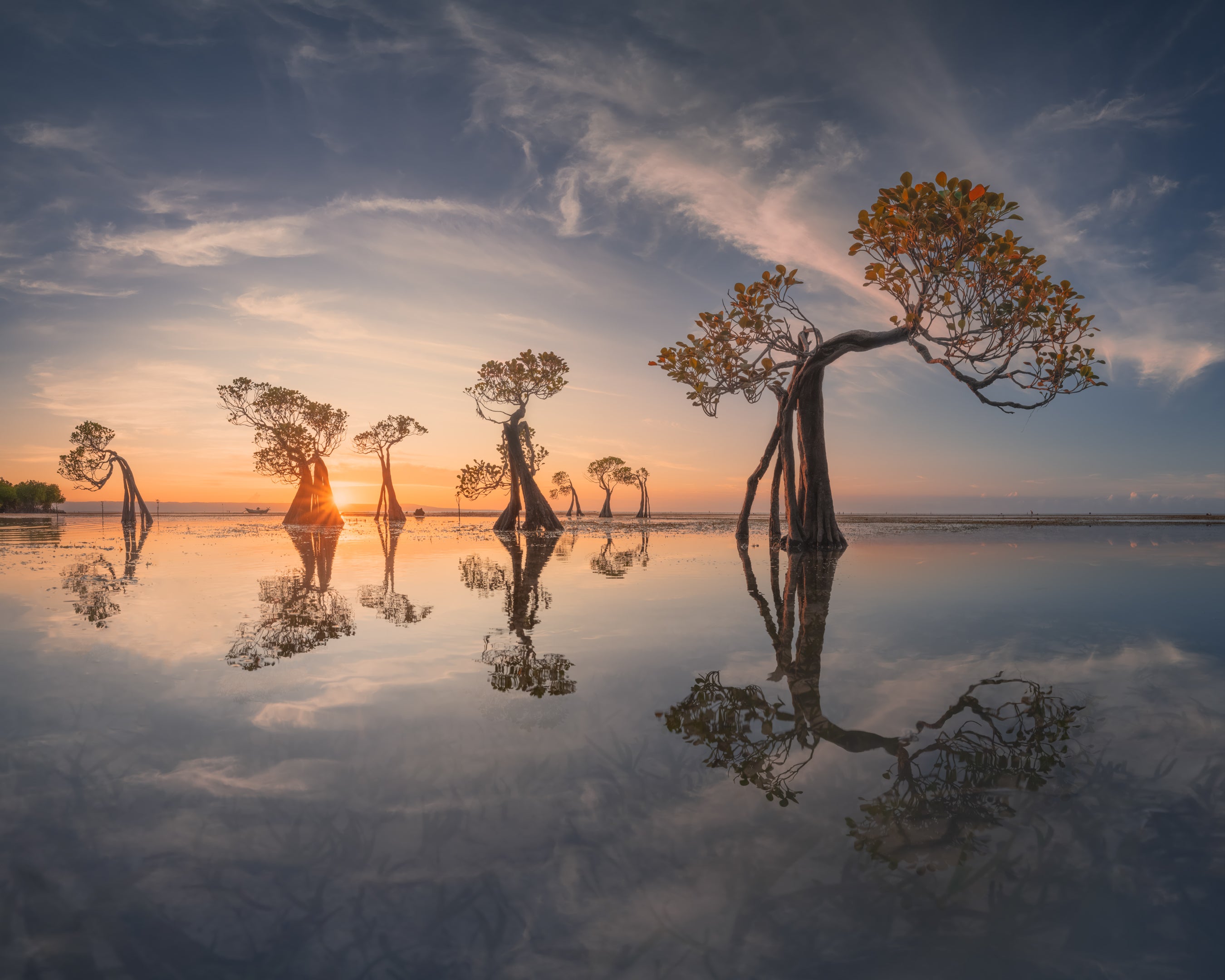 Twilight Dancers featured opacity image