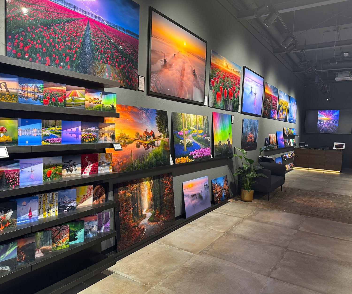 Gallery concept image